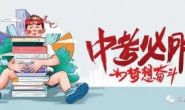 辛吉飞行业爆料了吗最新消息,最新动态揭秘行业内幕